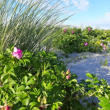 Appartement Meerzeit Graal-Mueritz